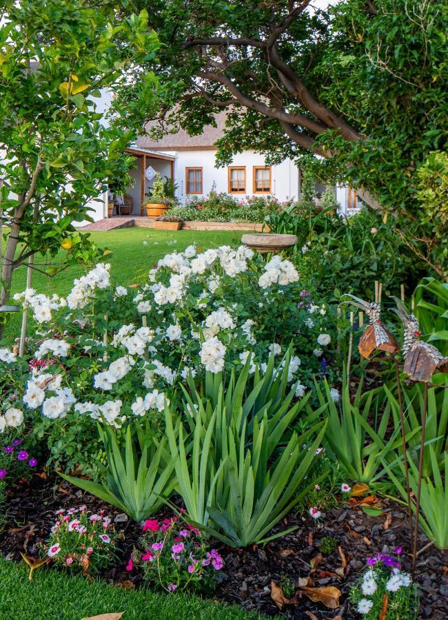 Mirtehof Guest Farm Estate Vendégház Prince Albert Kültér fotó